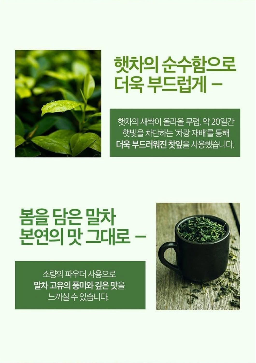 BỘT MATCHA HỮU CƠ NỘI ĐỊA HÀN – I’M YO – JEJU MATCHA TEA