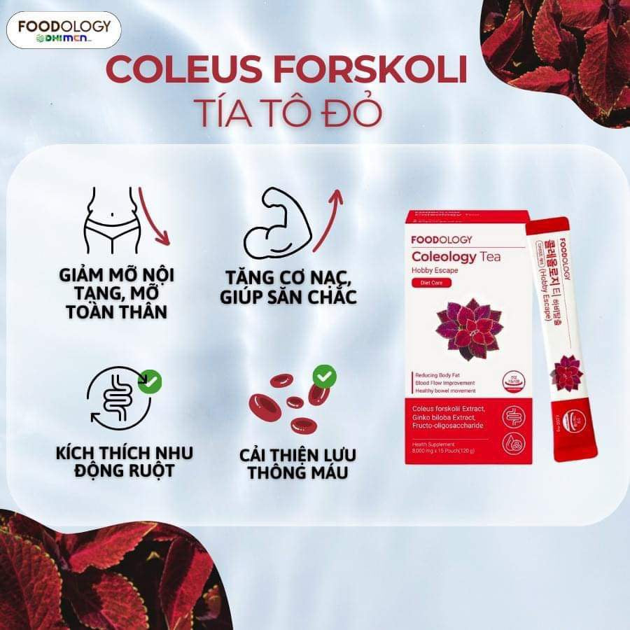 COLEOLOGY TEA - Trà Tía Tô Lựu Đỏ Hàn Quốc 15 gói nhỏ