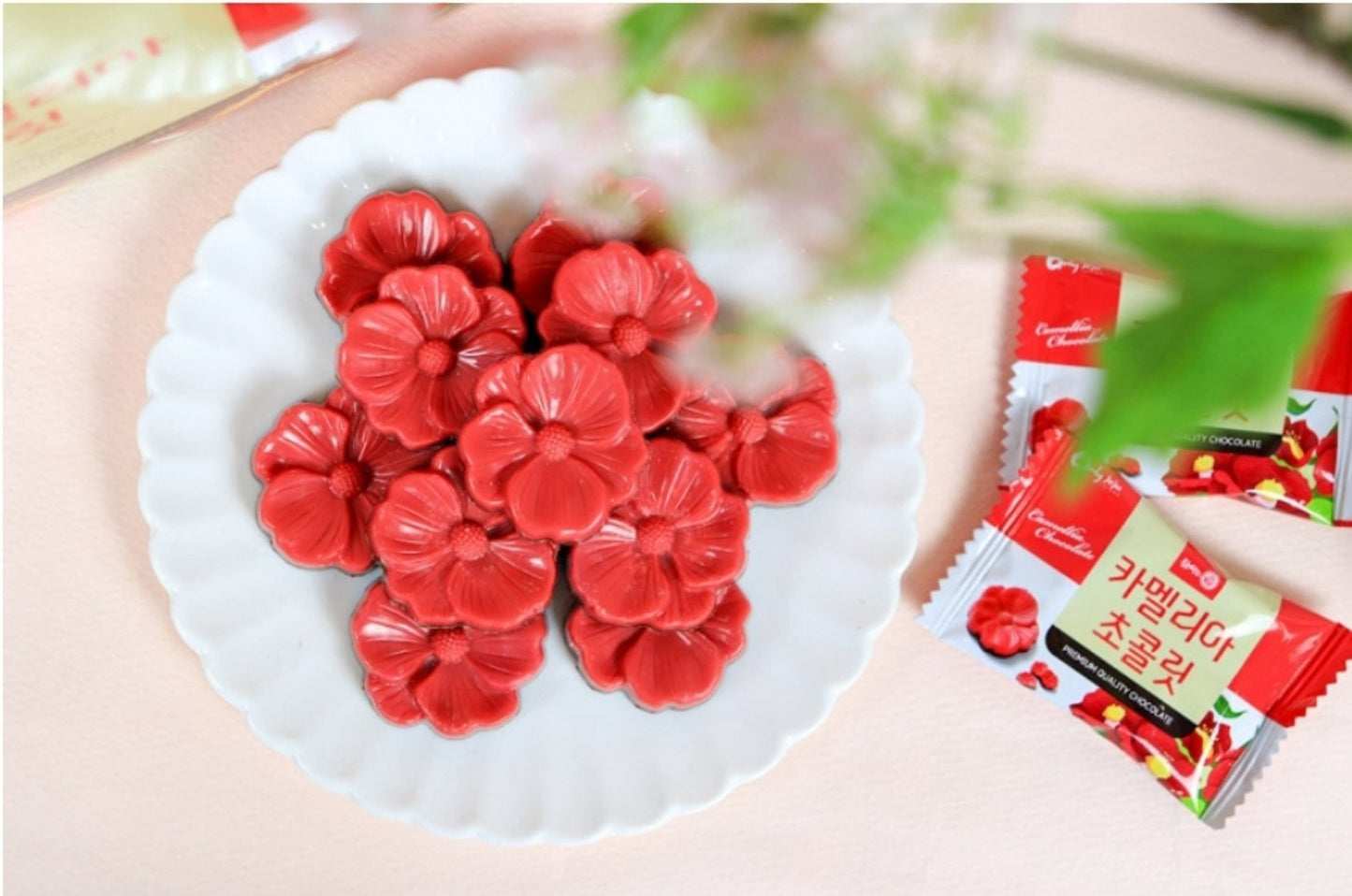 Kẹo Chocolate Jeju Hoa Trà 28 hoa