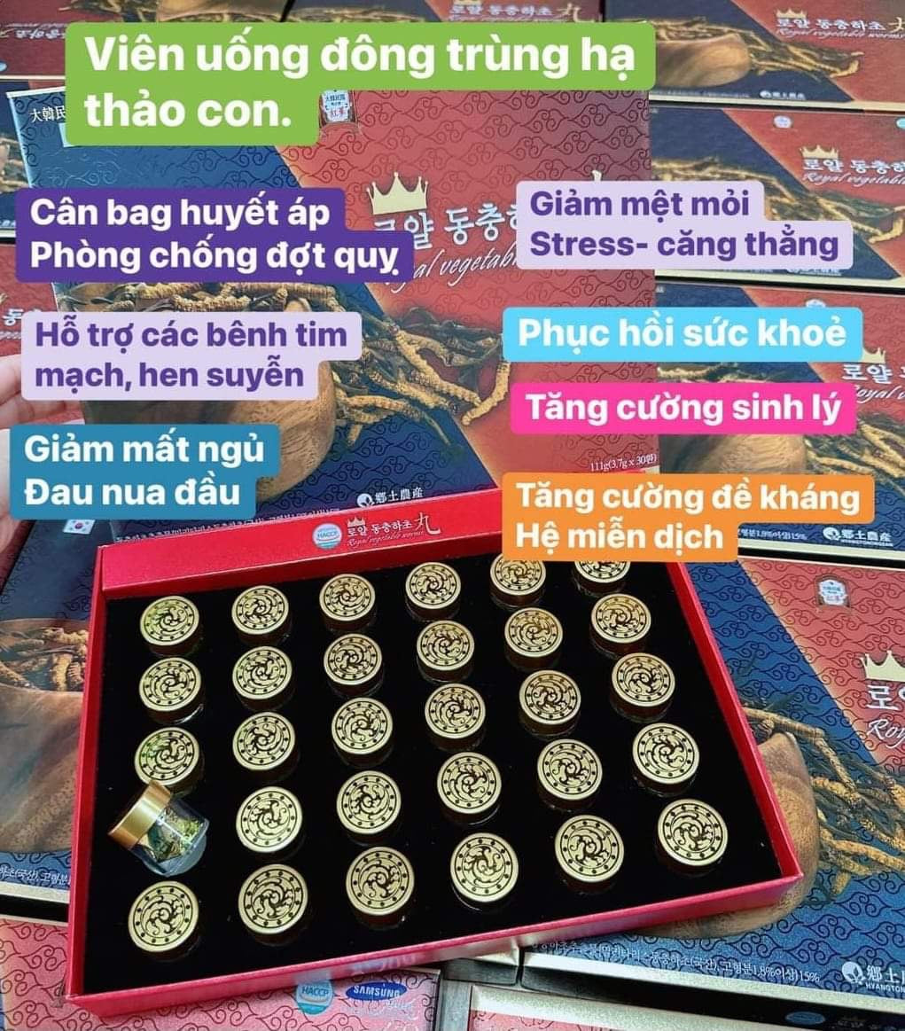 Golden Royal Vegetable Worms (Viên Uống Đông Trùng Hạ Thảo - Cân Bằng Huyết Áp, chống đột quỵ