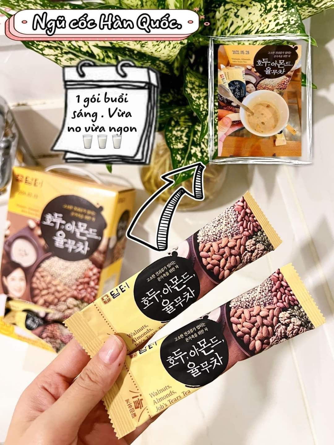 Bột Ngũ Cốc Cô Gái Hàn Quốc (Damtuh Korea Walnut Almond Adlay Power Meal) 50 gói