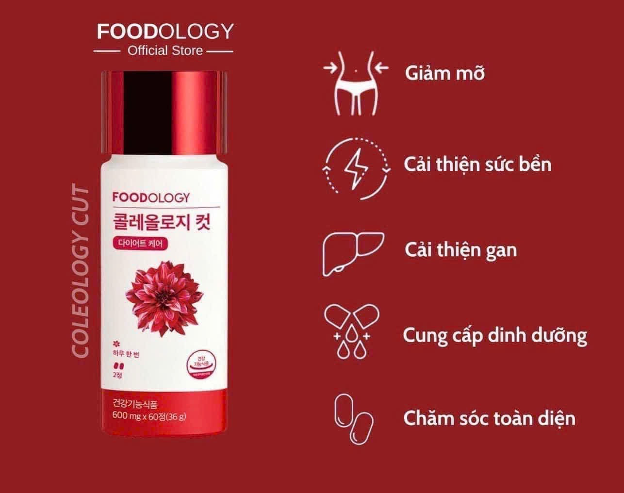 𝐕𝐢𝐞̂𝐧  𝐮𝐨̂́𝐧𝐠 𝐠𝐢𝐚̉𝐦 𝐜𝐚̂𝐧 𝐚𝐧 𝐭𝐨𝐚̀𝐧 𝐅𝐨𝐨𝐝𝐨𝐥𝐨𝐠𝐲 
( Hộp 60V )