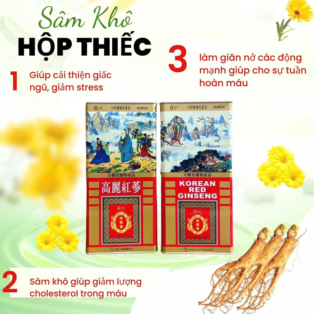 Sâm Khô Hộp Thiếc Nguyên Củ Hàn Quốc 300g (11-20 củ)