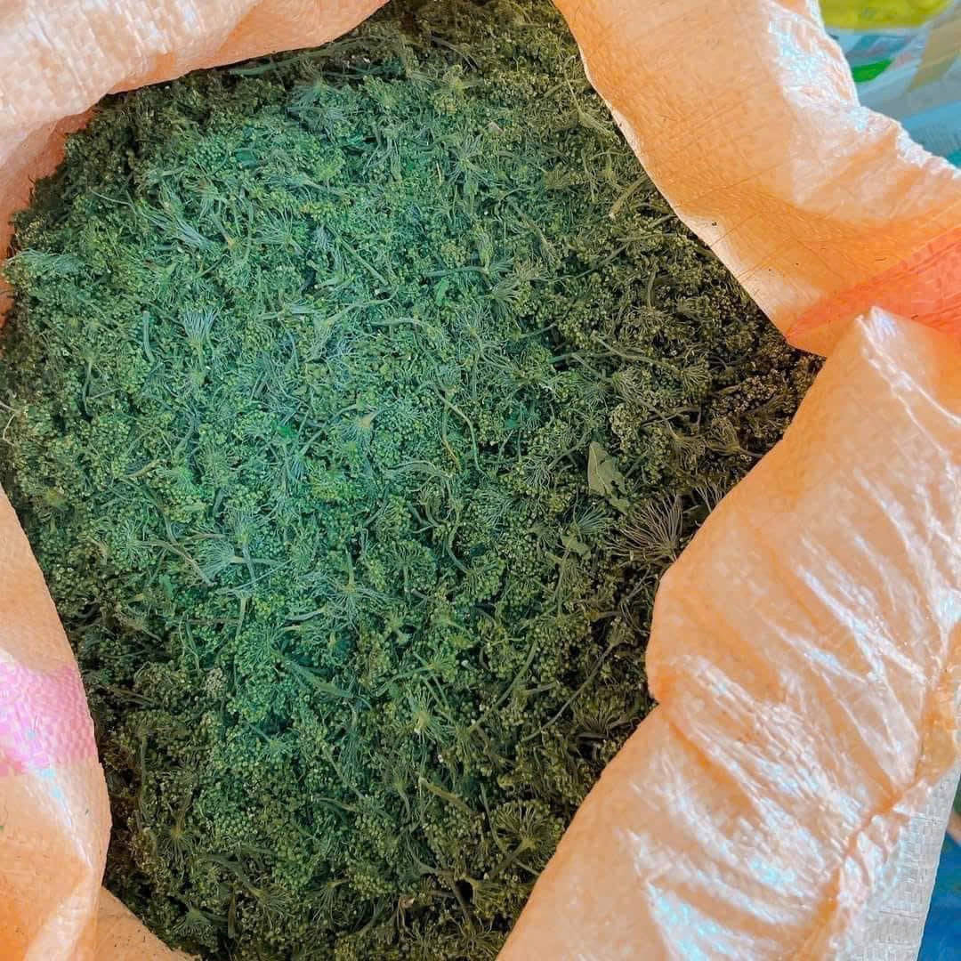 Hoa sâm khô Hàn Quốc - TRÀ HOA SÂM tốt cho sức khỏe. Túi 500g.